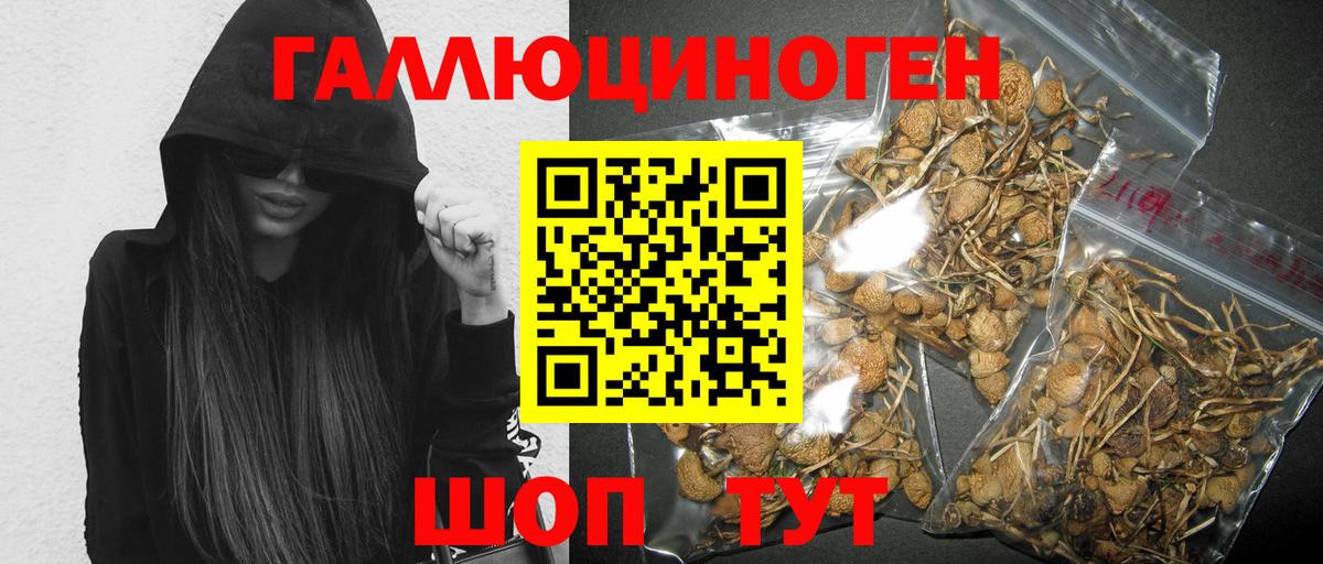 Псилоцибиновые грибы MAGIC MUSHROOMS  продажа наркотиков  Котельники  Псилоцибиновые грибы Magic Shrooms  Вход с VPN 